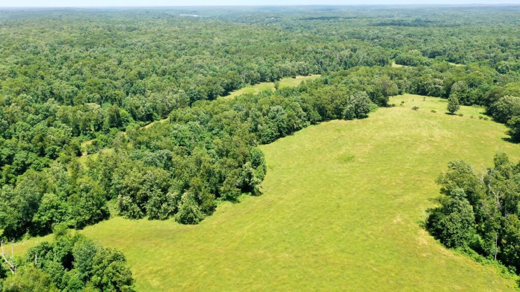 Property photo for land for sale in Dent County Missouri