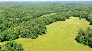Property photo for land for sale in Dent County Missouri