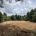 Property photo for land for sale in Cass County Texas