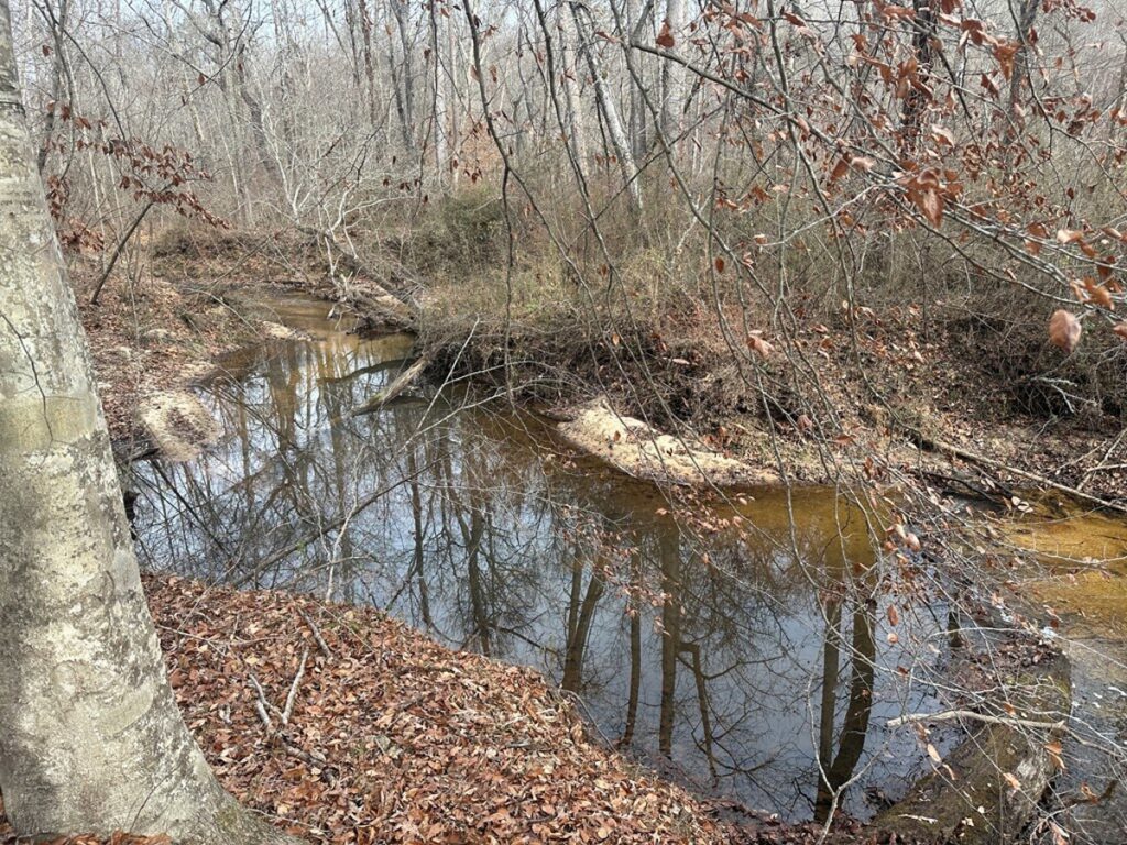 b2deee7a-a3da-4db5-a13d-a877ead9ec59.jpg