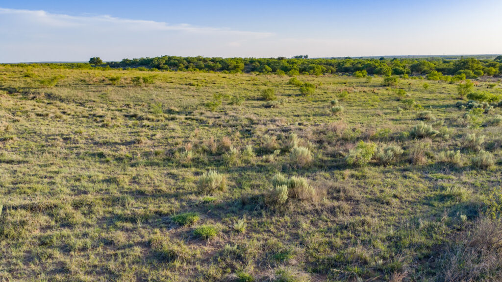 b3d0e869-98de-4840-86f6-7e34b3fb0715.jpg