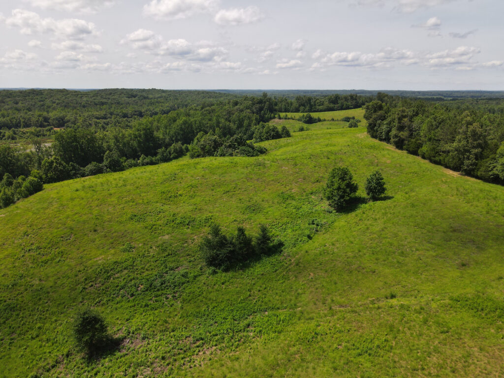 Property photo for land for sale in Hardin County Tennessee