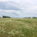 Property photo for land for sale in Benton County Arkansas