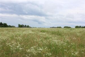 Property photo for land for sale in Benton County Arkansas