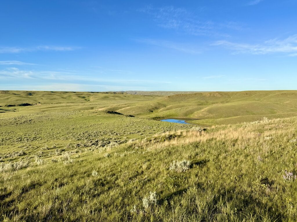 b5f6c600-47f1-4e7e-b3a3-340982f21e30.jpg