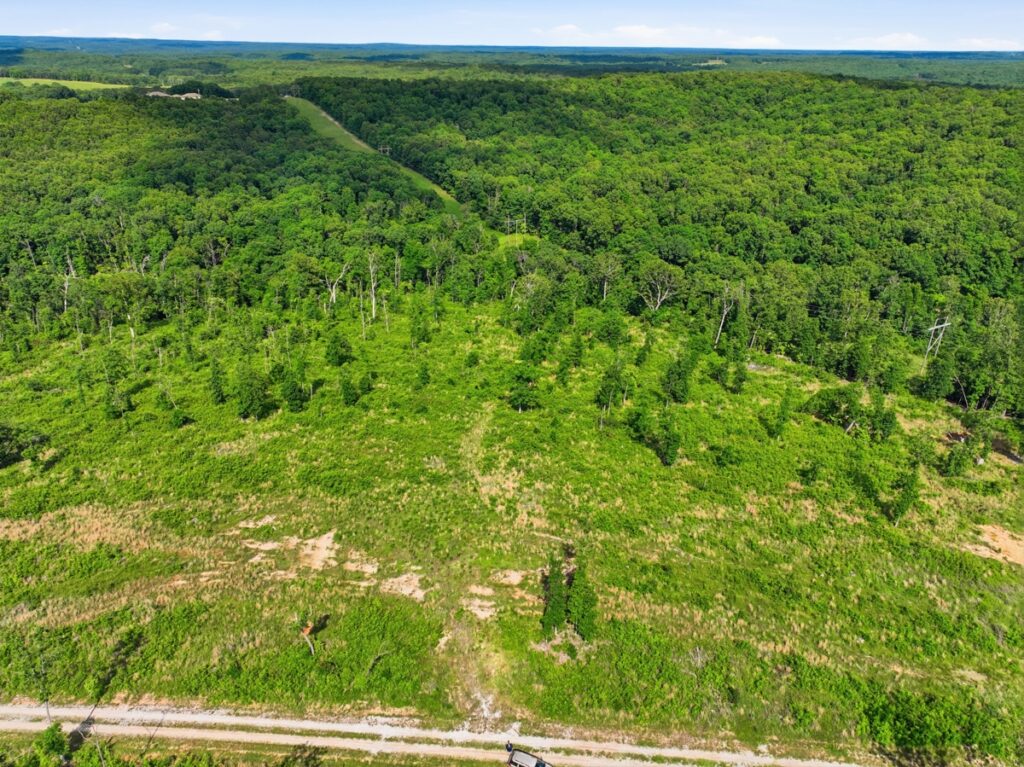 Property photo for land for sale in Howell County Missouri