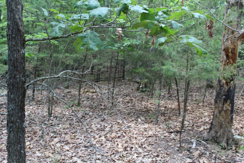 Property photo for land for sale in Ozark County Missouri