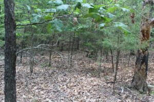 Property photo for land for sale in Ozark County Missouri