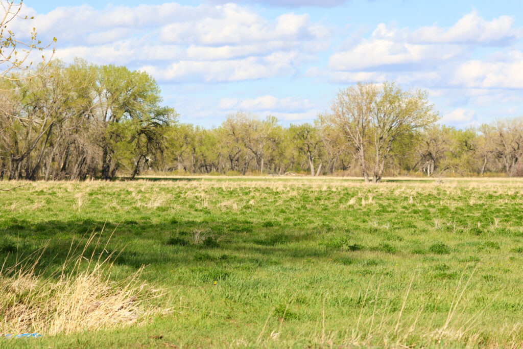 Property photo for land for sale in Blaine County Montana