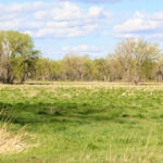 Property photo for land for sale in Blaine County Montana