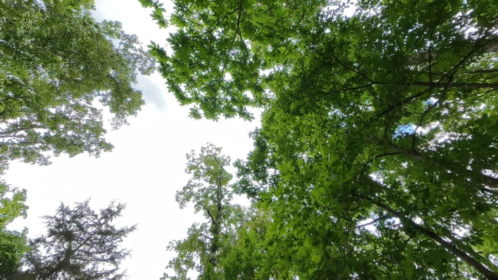 bd1a6367-7a36-491d-a52b-9439e63847d2.jpg