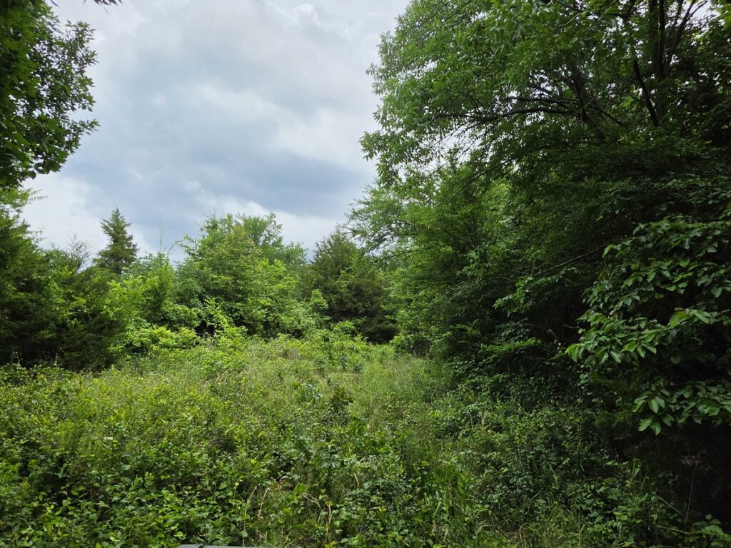 bd6547e5-eacf-4bfa-98d8-7645da0218c1.jpg