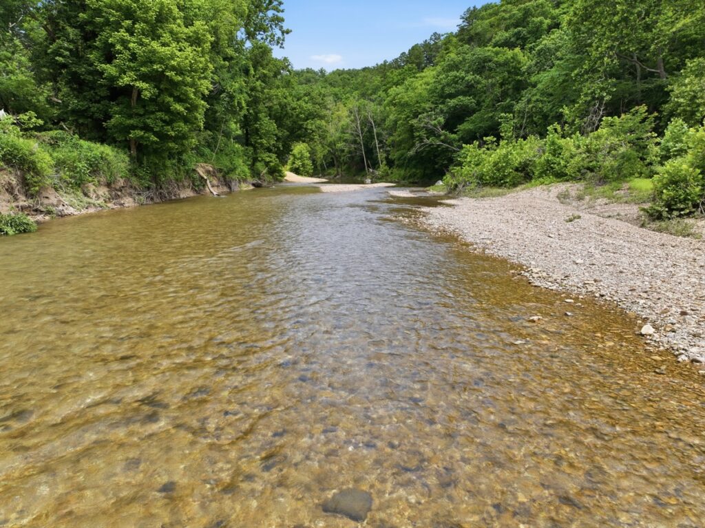bd6664cb-eb27-4404-aa36-bd1806e1df1e.jpg