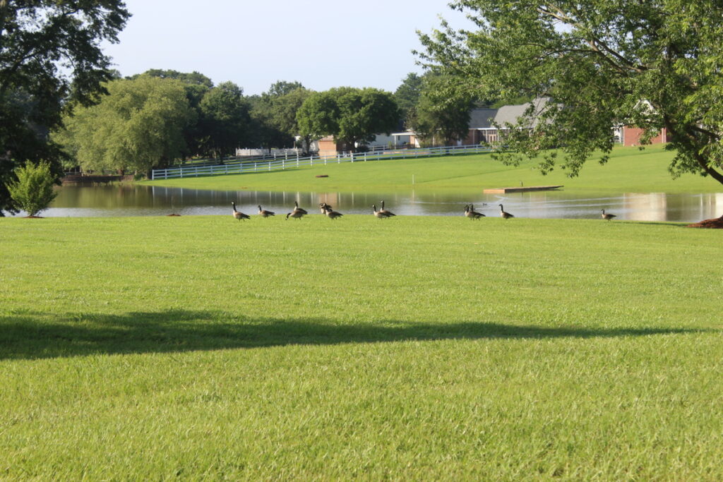 be5bd72f-c61e-487c-8e51-874987b02fd6.jpg