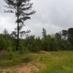 Property photo for land for sale in Pike County Mississippi