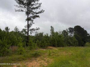 Property photo for land for sale in Pike County Mississippi