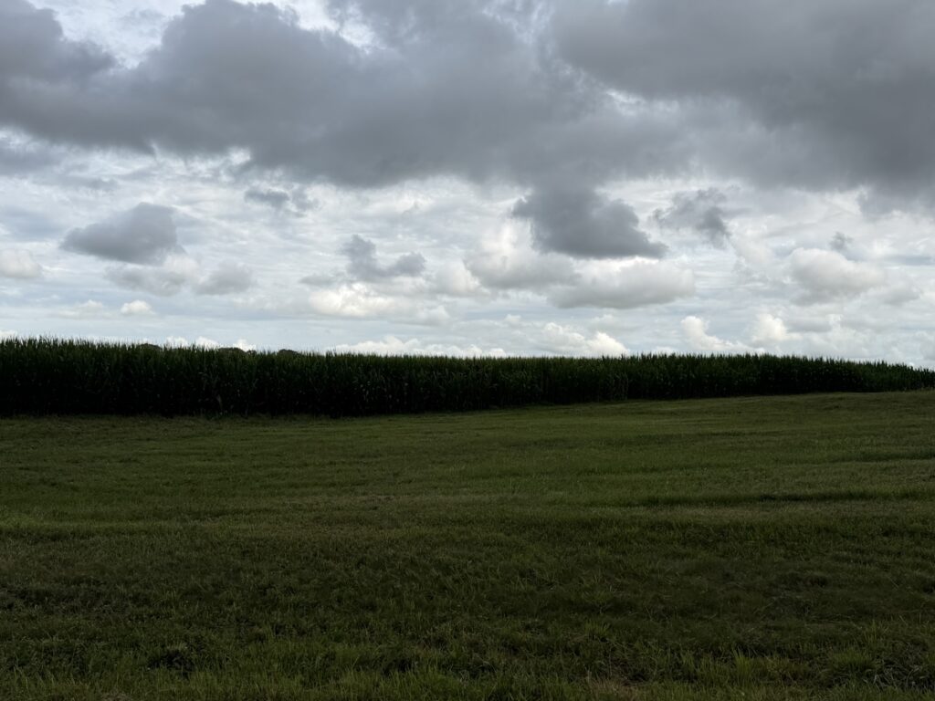 Property photo for land for sale in Simpson County Kentucky