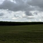 Property photo for land for sale in Simpson County Kentucky
