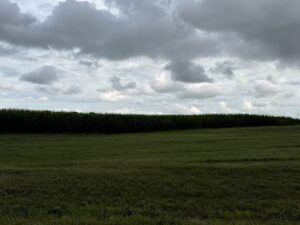 Property photo for land for sale in Simpson County Kentucky