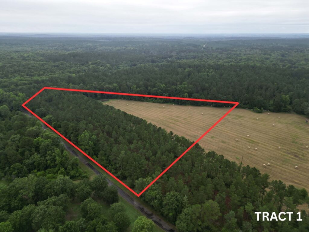 Property photo for land for sale in Cass County Texas