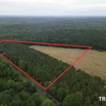 Property photo for land for sale in Cass County Texas