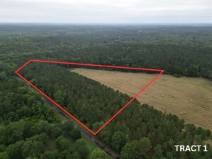 Property photo for land for sale in Cass County Texas