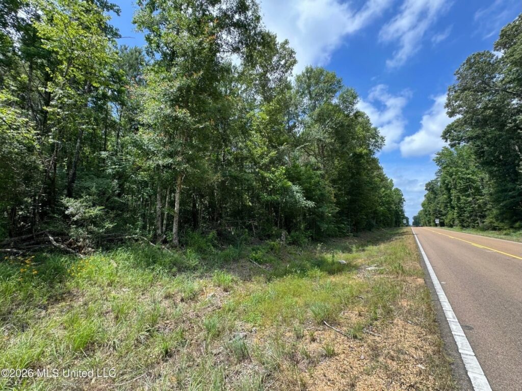 Property photo for land for sale in Amite County Mississippi