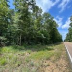 Property photo for land for sale in Amite County Mississippi