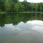 Property photo for land for sale in Shannon County Missouri