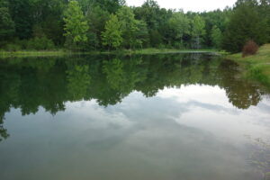 Property photo for land for sale in Shannon County Missouri