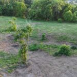 Property photo for land for sale in Clinton County Kentucky