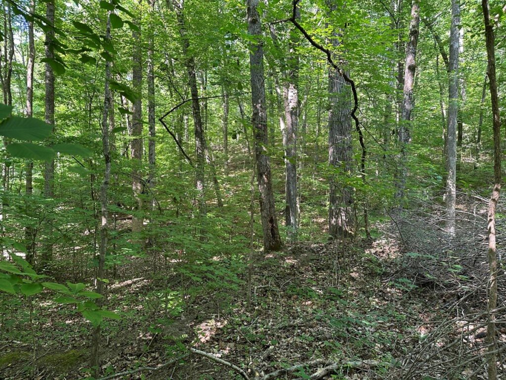 c2d4e474-a4ec-44b5-9d30-6bf48e4af81b.jpg