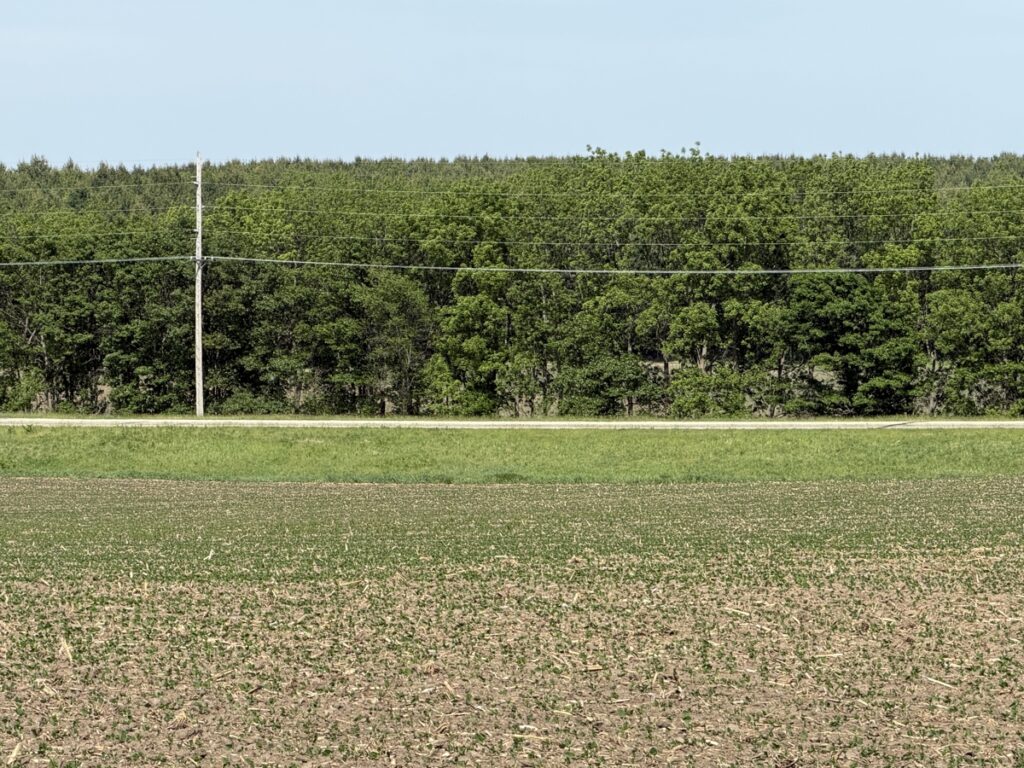 c3acb28a-c5ff-4d2e-8296-785e3a6f97cb.jpg