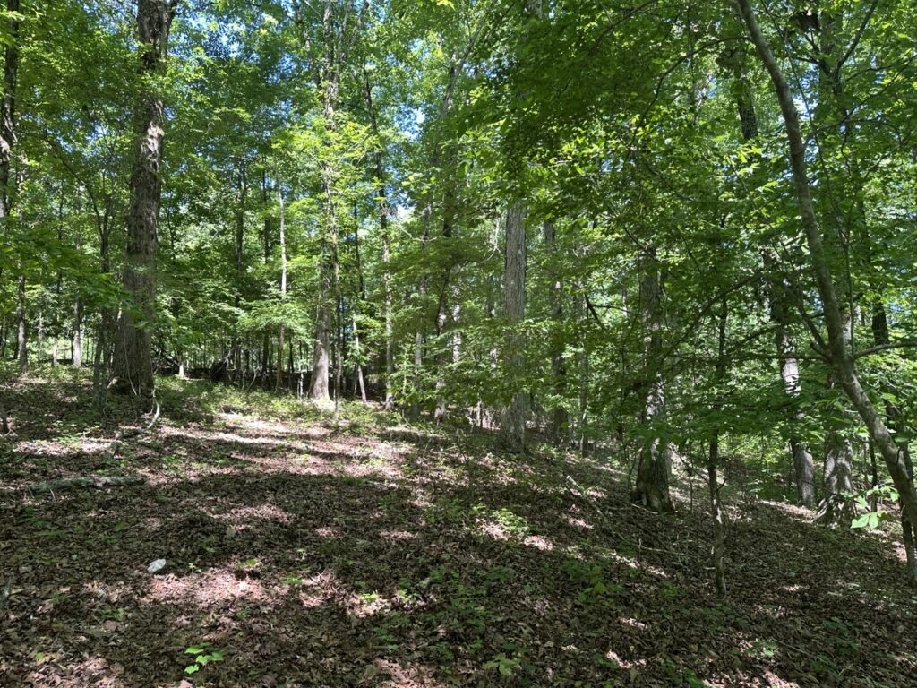 Property photo for land for sale in Saline County Arkansas