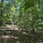 Property photo for land for sale in Saline County Arkansas