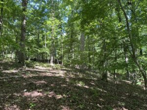 Property photo for land for sale in Saline County Arkansas