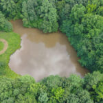 Property photo for land for sale in Weakley County Tennessee