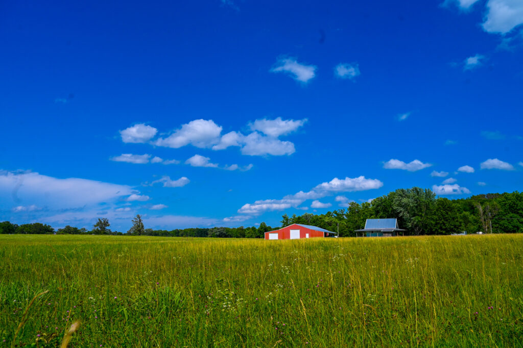 c5926d6a-631c-4bd7-b8a9-7f90522de118.jpg