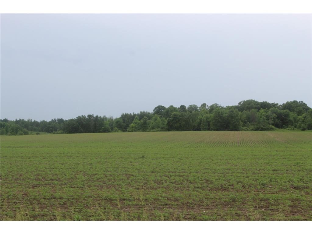 Property photo for land for sale in Kanabec County Minnesota