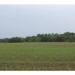 Property photo for land for sale in Kanabec County Minnesota
