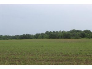 Property photo for land for sale in Kanabec County Minnesota