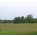 Property photo for land for sale in Kanabec County Minnesota