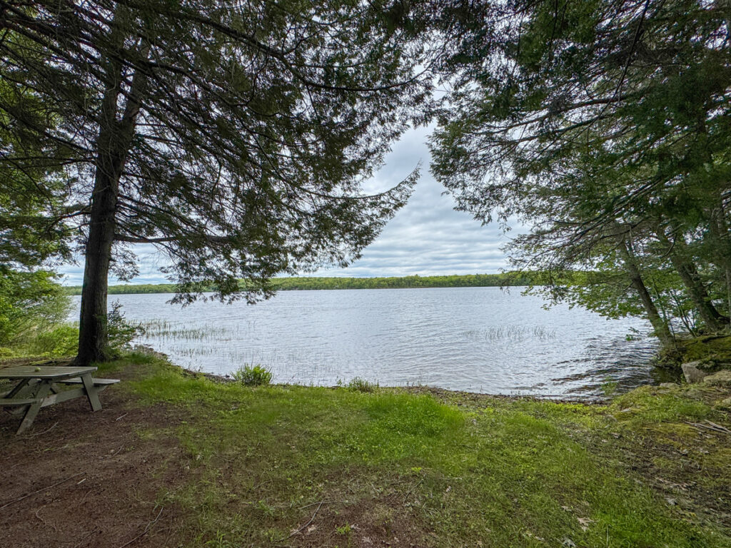 c8ec322a-c548-4ea4-8d36-01345458b455.jpg