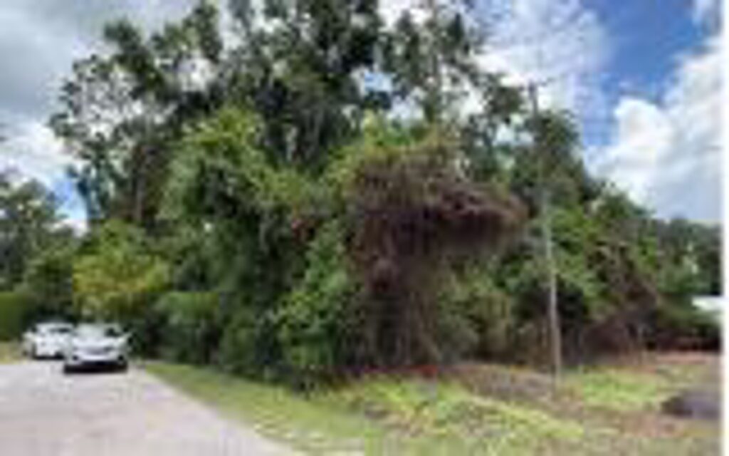Property photo for land for sale in Columbia County Florida