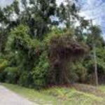 Property photo for land for sale in Columbia County Florida