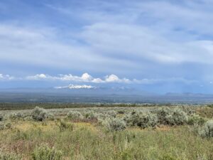 Property photo for land for sale in Montezuma County Colorado