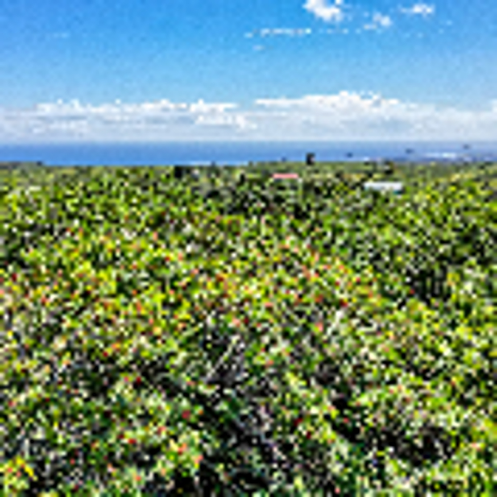 cc834840-78f2-4bea-98c1-8115570f3ae5.png