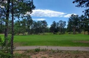 Property photo for land for sale in Larimer County Colorado