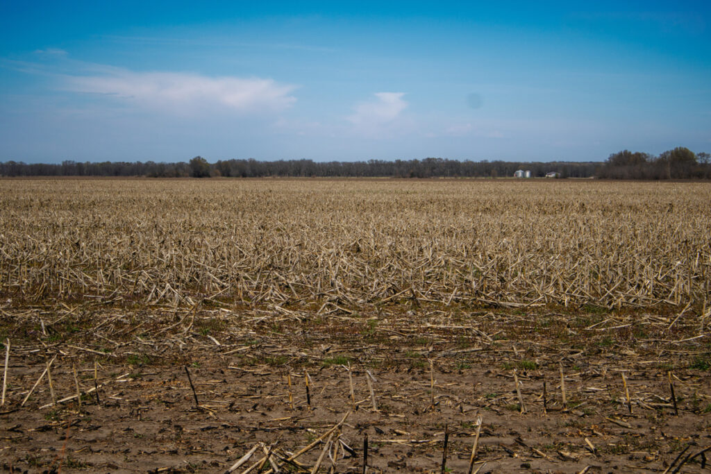 cee2dde8-ff11-4514-947e-f0733b6660f5.jpg