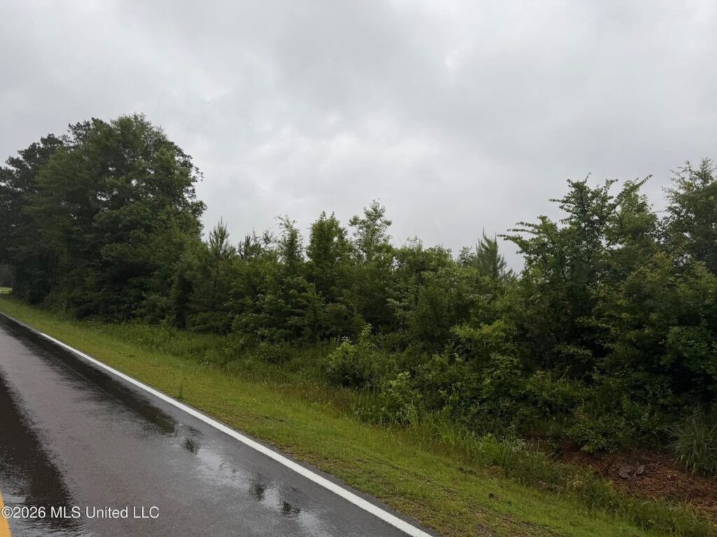 d004154b-b30e-411d-978d-8854e1153714.jpg